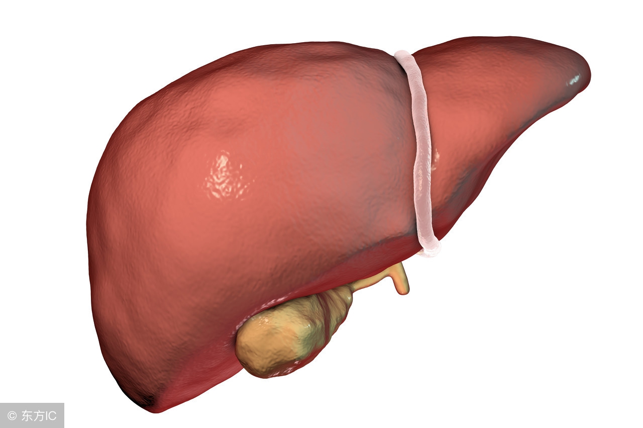 肝疼的下一步就是肝癌？癌症专家提醒2个要点，你的肝脏还有救