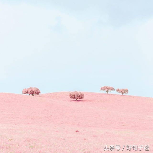 触动人心弦的句子，句句温暖走心，送给需要安慰的人图片
