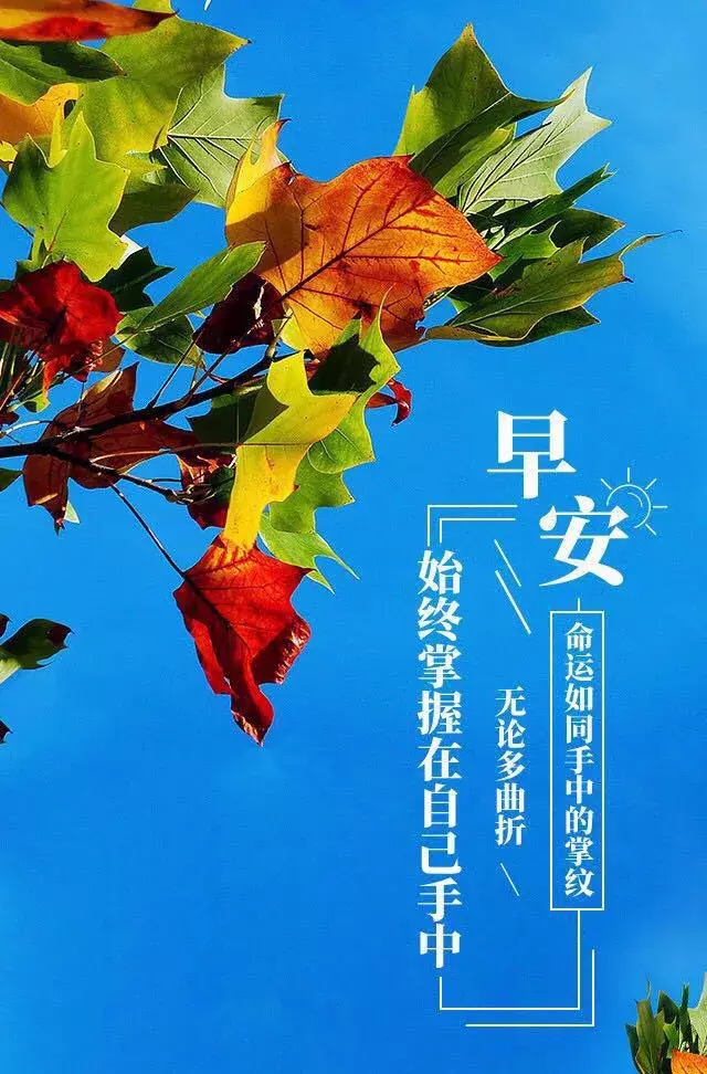 朋友圈最全最美早安图片大全 早安阳光正能量语录