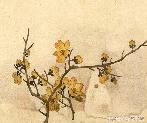 美到窒息的古风句子  你本无意穿堂风，却偏偏孤倨引山洪图片
