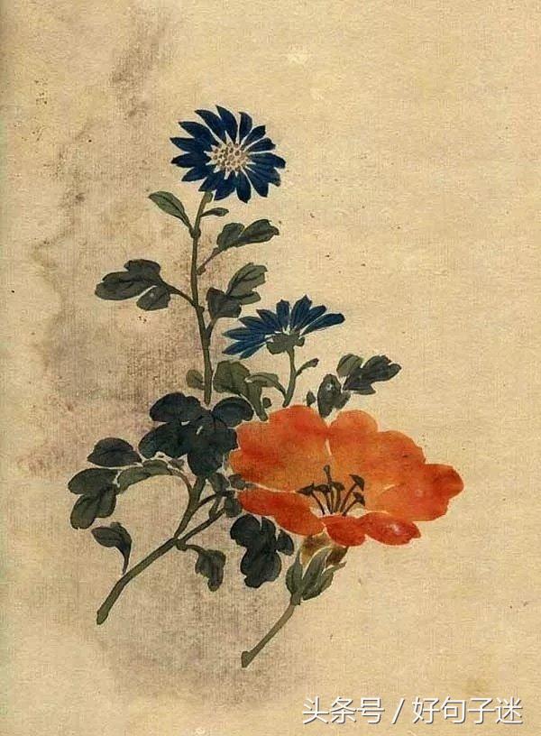 美到窒息的古风句子  你本无意穿堂风，却偏偏孤倨引山洪图片