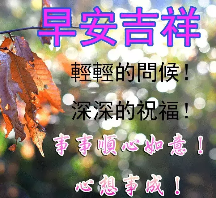 新的一天精美早安心语 早安问候语图片大全
