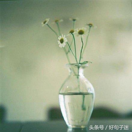 愉快的心情发朋友圈 淡淡的心情唯美句子图片