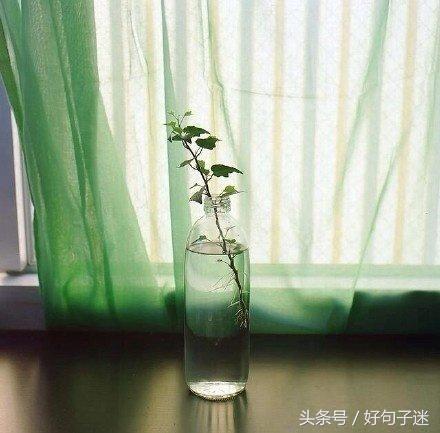 愉快的心情发朋友圈 淡淡的心情唯美句子图片