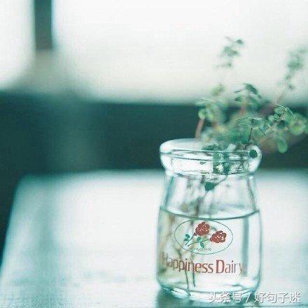 愉快的心情发朋友圈 淡淡的心情唯美句子图片