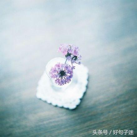 愉快的心情发朋友圈 淡淡的心情唯美句子图片