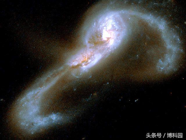 最明亮星系是由什么驱动的？黑洞吗？