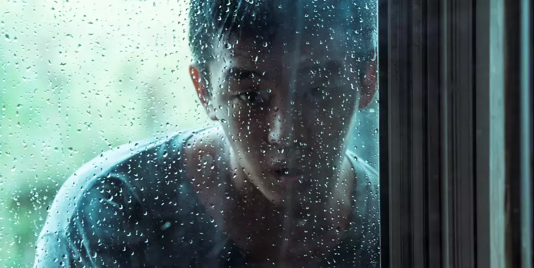 为你整理了近两年来没有在院线上映的高分悬疑电影 你都看了?