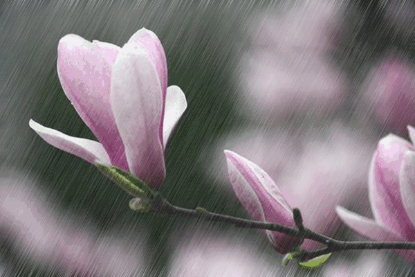 风吹夏雨暑气消：8首诗词迎来小暑后的夏天！-第1张图片-非凡网