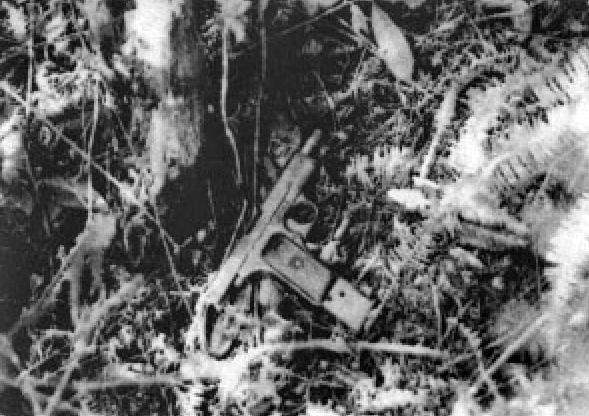 大案要案侦破纪实：数月千里大追捕，1983 王家兄弟伏法记