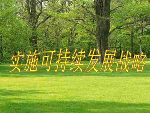 为什么要坚持“可持续发展”战略？