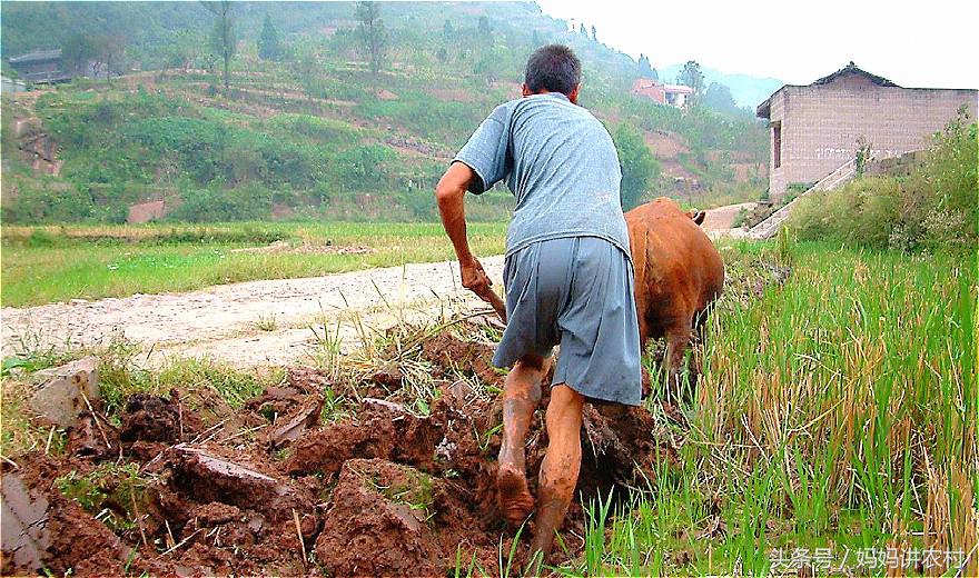 What the country stays behind is old male, increasing, is this why? 