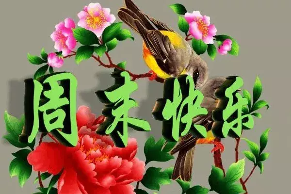 最新简短周未问候语短信 周未早上最暖心的祝福语句大全图片