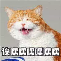 贾樟柯、周迅都给它打call,这部电影到底有多好?