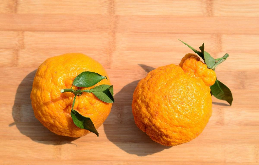 丑橘营养价值丰富，对我们的身体还功效多多，快来看看吧
