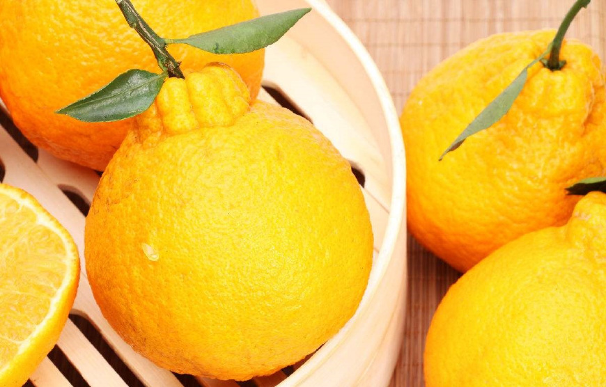 丑橘营养价值丰富，对我们的身体还功效多多，快来看看吧