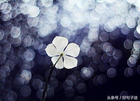 很有意境的唯美句子 愿你一生有山可靠，有树可栖图片