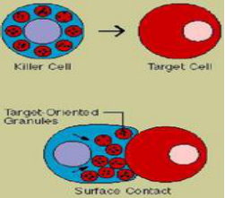 惊喜!2018肿瘤免疫细胞治疗新进展,坐标