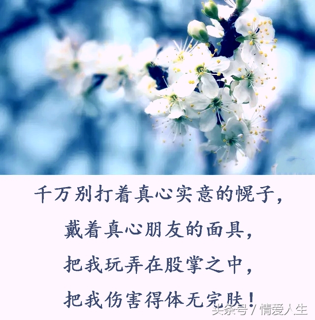 请不要拿我当傻子！图片