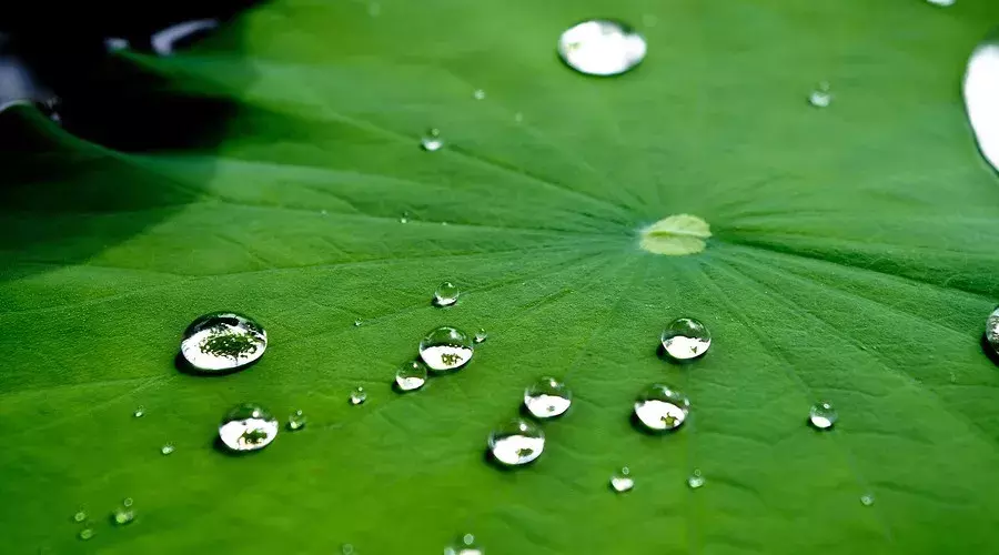 这个夏季，热情似火：8首古诗词诗意盎然！