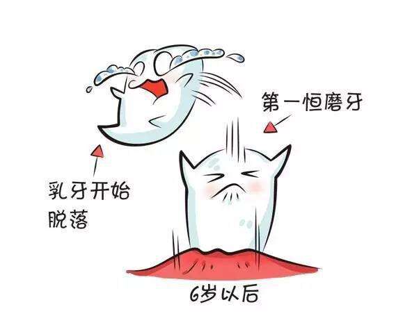 学会区分乳牙和恒牙，千万别拔错恒牙