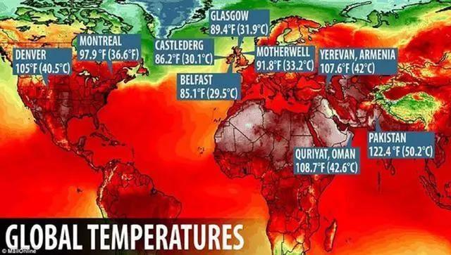 哭了！北极圈罕见32℃高温，北极熊或在40年内迎来灭绝