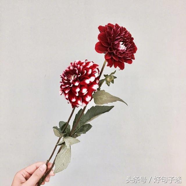适合表达心情的说说 自己的说说怎么发朋友圈图片