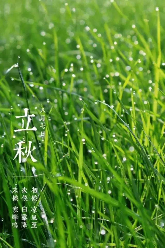 立秋:暑去凉来,一叶知秋!-第1张图片-非凡网 立秋:暑去凉来,一叶知秋!-第1张图片-非凡网