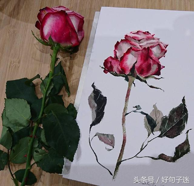 有诗意的唯美个性说说：安得与君相决绝，免教生死作相思图片