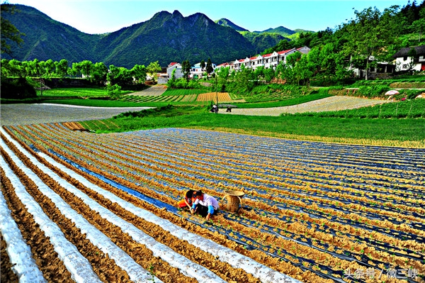 抓住夏天的尾巴，来一次宜昌乡村风味的野游令人身心舒畅