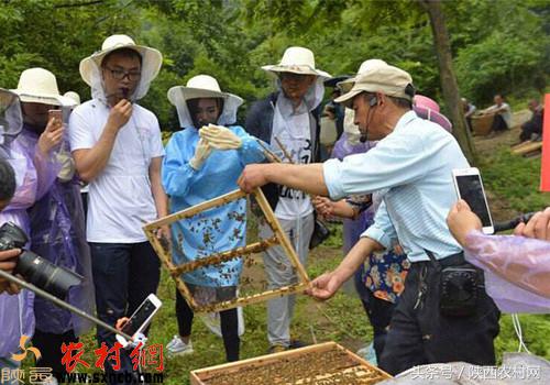 农村创业几个典型的案例，看了就受用！