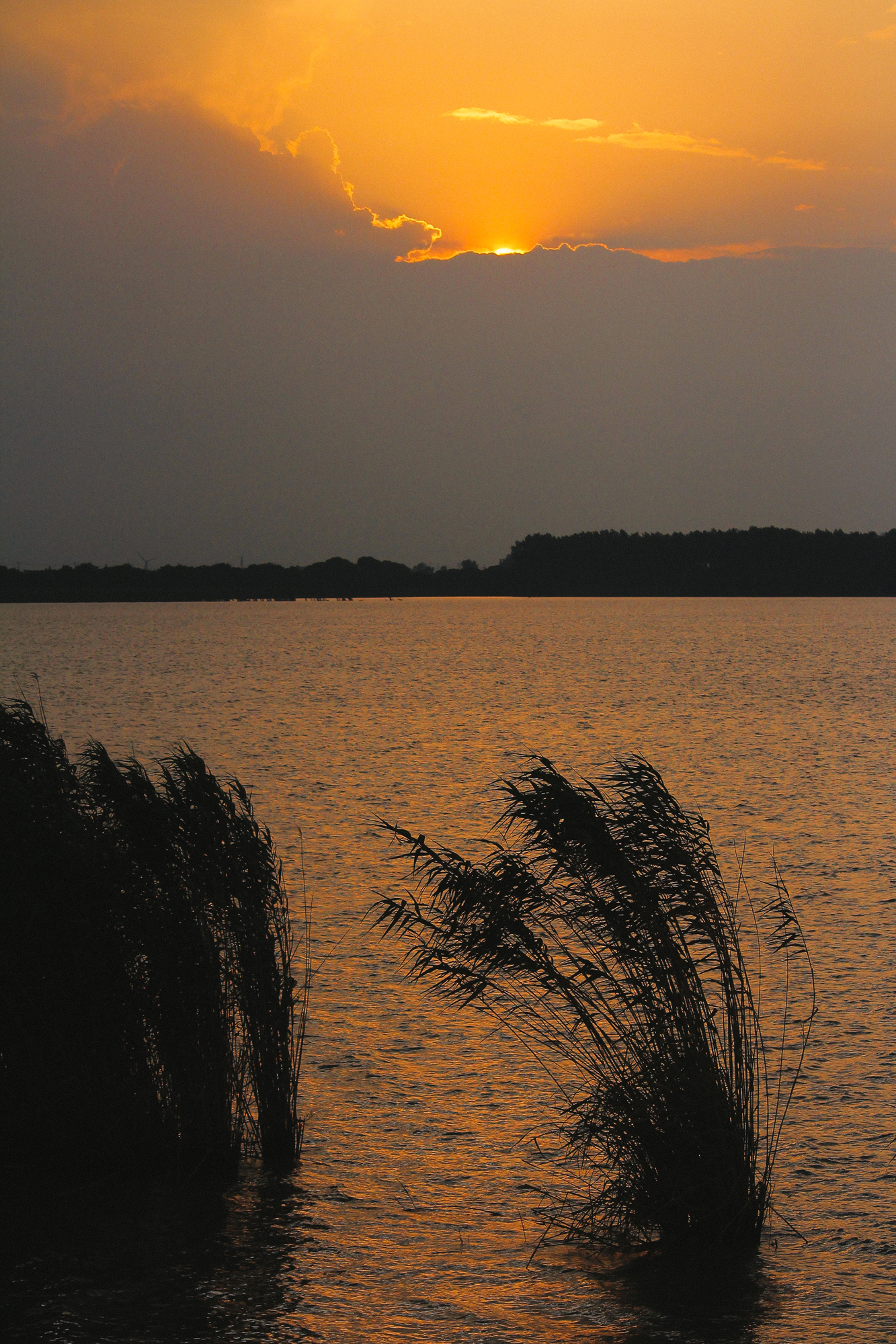 【宋】白居易《李觏》:人言落日是天涯,望极天涯不见家.