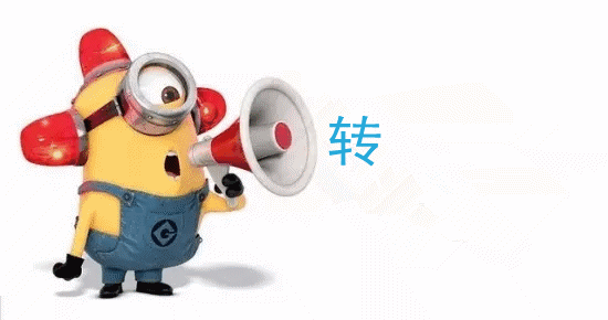 每个年龄阶段，应该做什么？生活什么？重要的