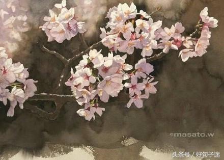 有诗意的唯美个性说说：安得与君相决绝，免教生死作相思图片