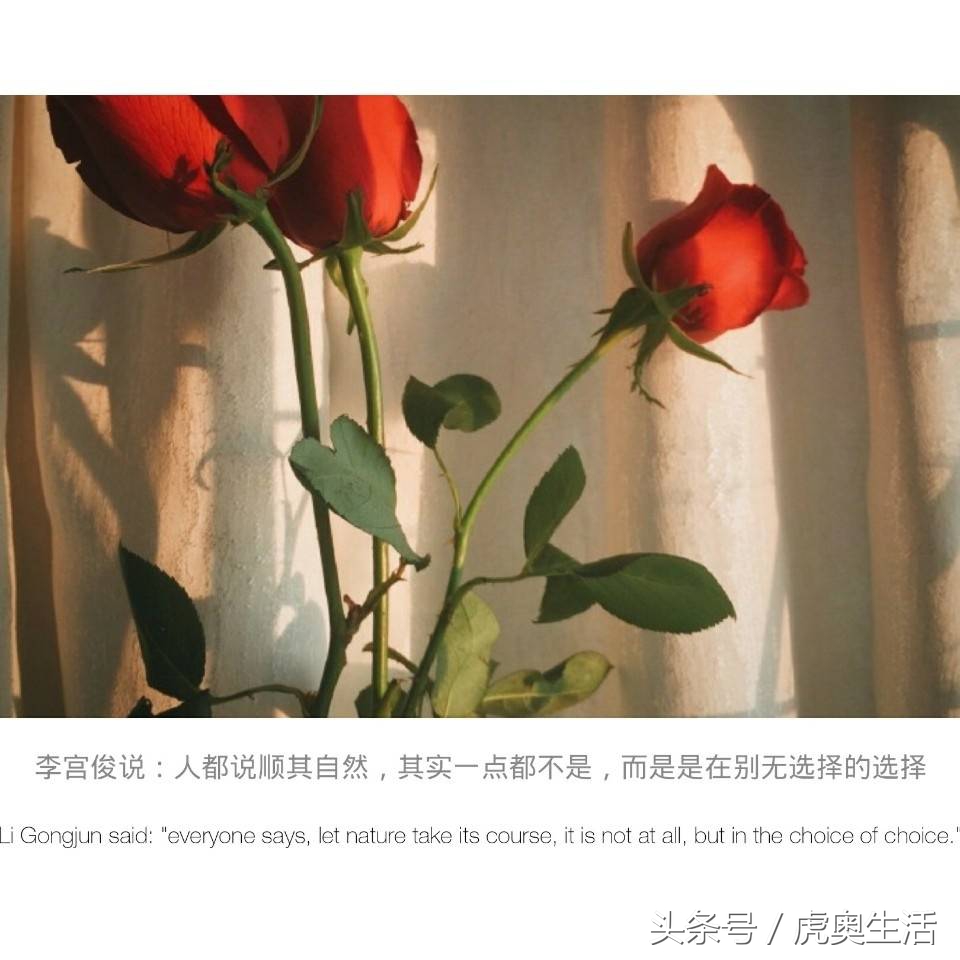 作家李宫俊的人生感悟，写作格言金句！一起品