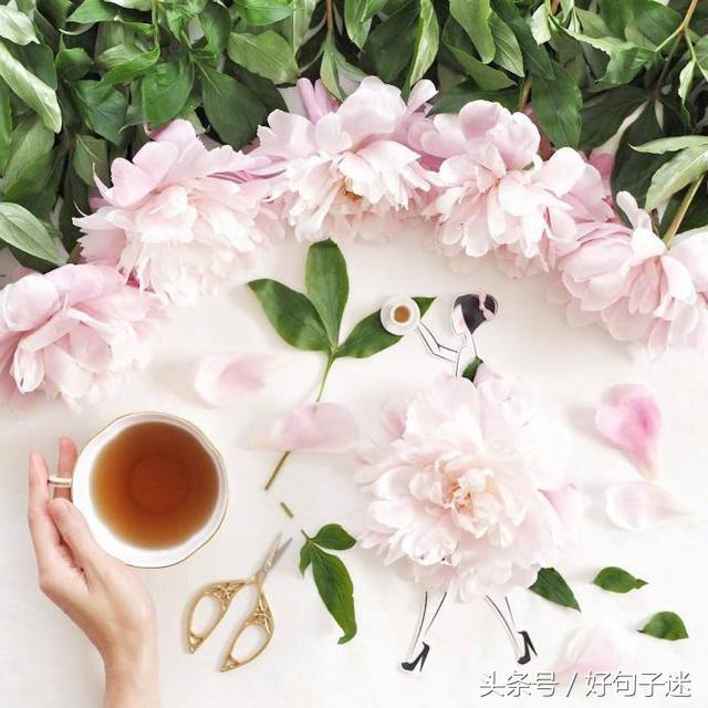 优美的,很有意境的句子 唯美的句子说说心情图片