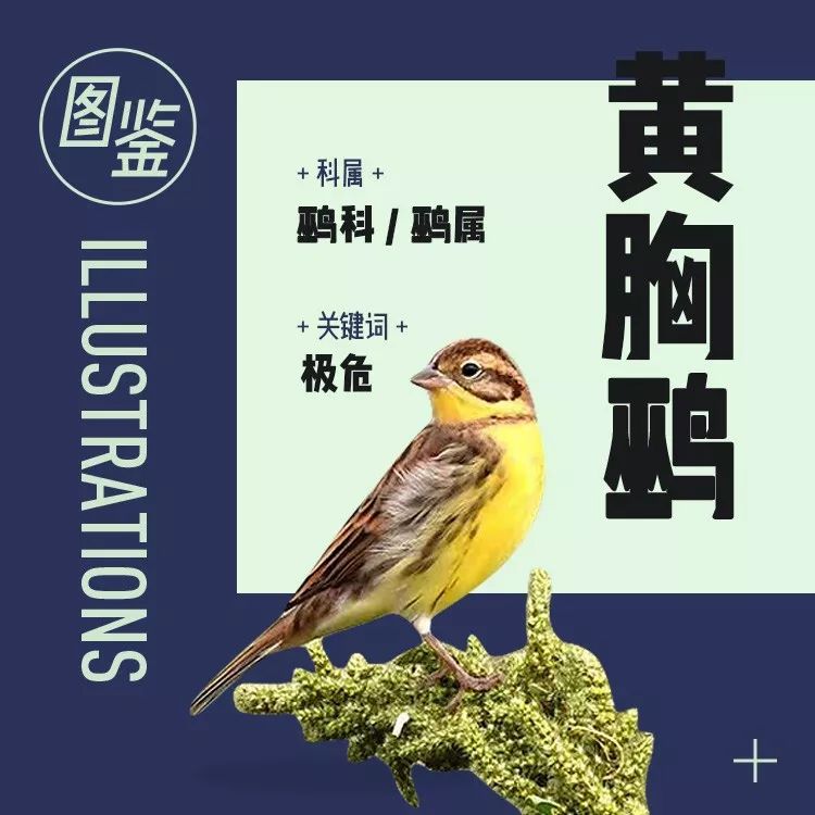 拼多多上的爆款春药用啥做的，卖得这么好？
