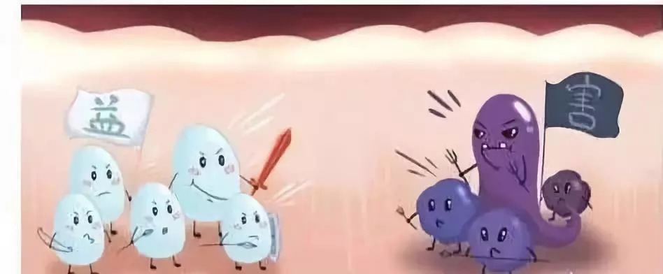 「食药科普」益生菌对人体有什么益处？该怎么选择和补充呢？