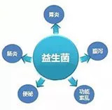 「食药科普」益生菌对人体有什么益处？该怎么选择和补充呢？