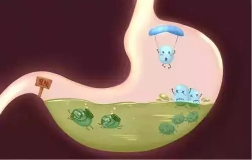 「食药科普」益生菌对人体有什么益处？该怎么选择和补充呢？