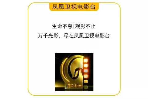 观影|中元节到了,小心吸血鬼出没