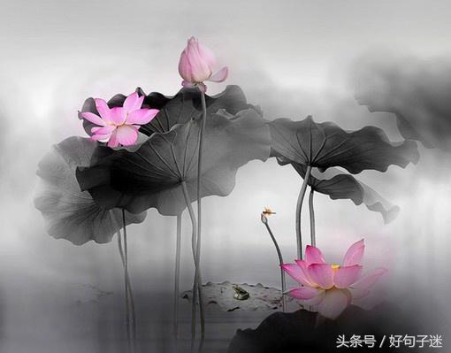 超精致的唯美句子 送给自己唯美的一句话图片