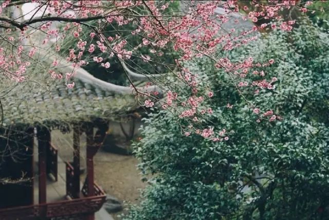十首爱情诗词：一首诗词，一段情深！-第7张图片-非凡网