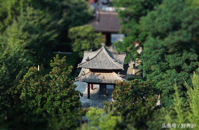 合肥17个免费公园,周末有地去了!