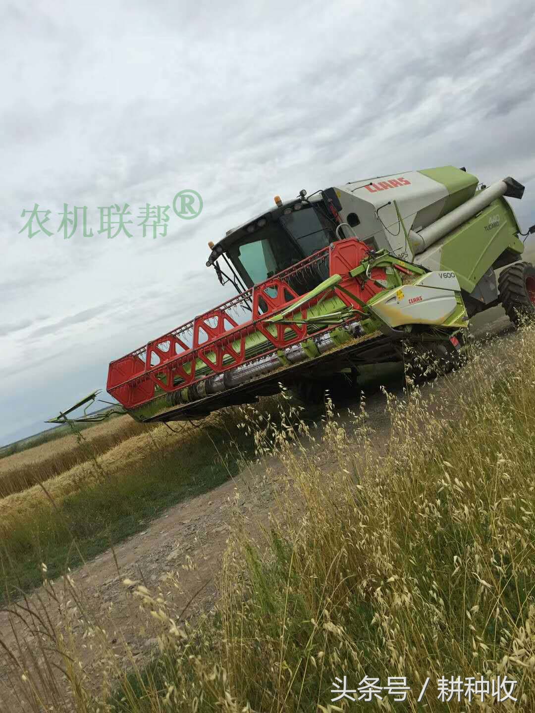 實(shí)拍我國(guó)西部地區(qū)引進(jìn)的世界級(jí)農(nóng)業(yè)機(jī)械，開(kāi)眼界了