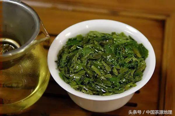 一篇真正的茶知识