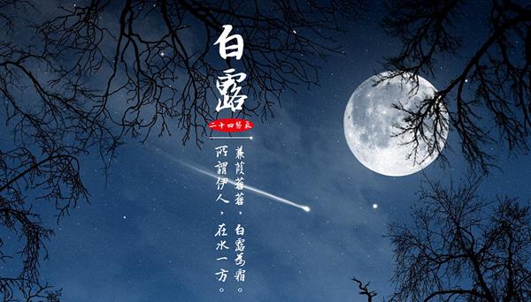 「我们的节气」白露：露从今夜白