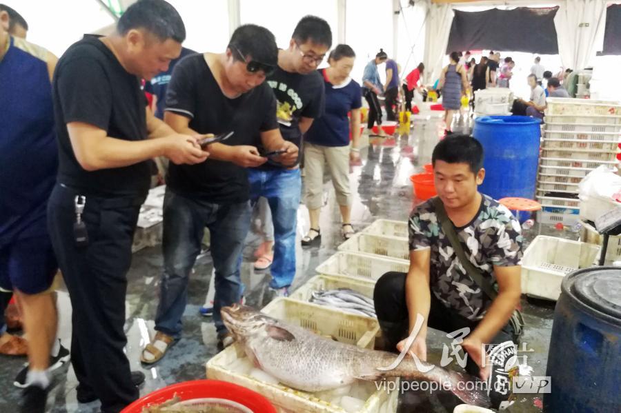 鳘鱼胶多少钱一斤(青岛：特大鳘鱼现身海鲜市场重达35斤多 摊贩要价上万)