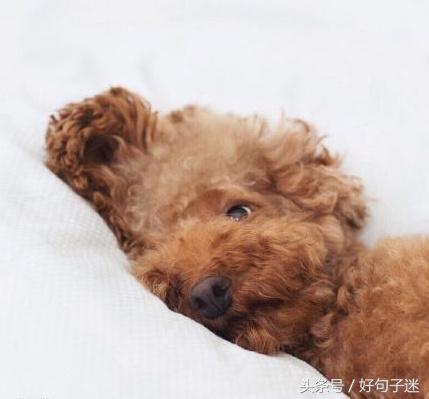 做人就要酷一点的说说 耍酷耍帅的幽默句子图片