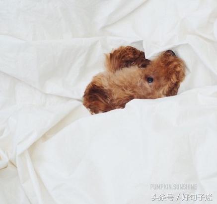 做人就要酷一点的说说 耍酷耍帅的幽默句子图片